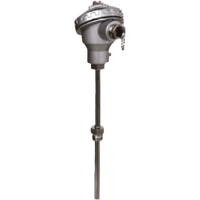 Kobold Resistance Thermometer with Transmitter, MWD